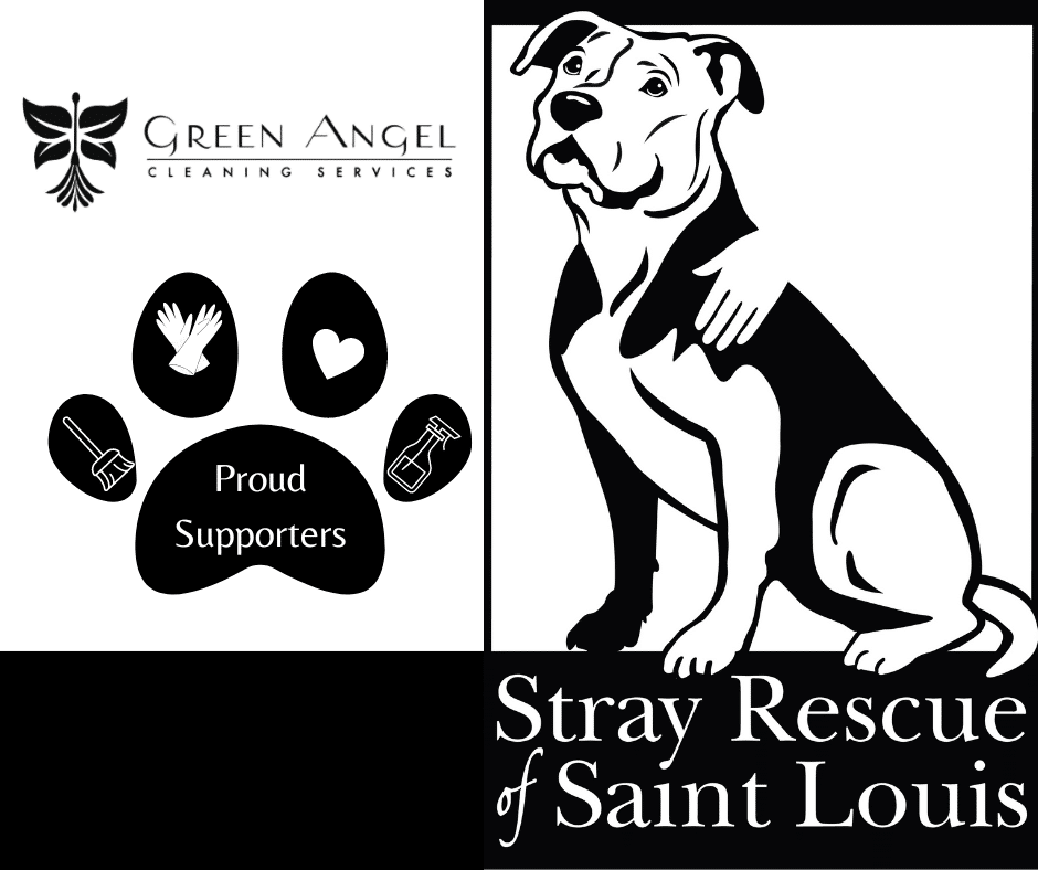 Stray Rescue of Saint Louis