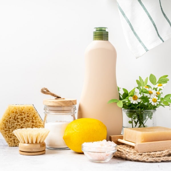 Housekeepers in St. Louis, MO