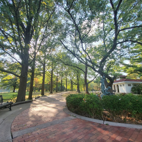 professional house cleaning and maid services in Webster Groves MO frees up families time to have more fun