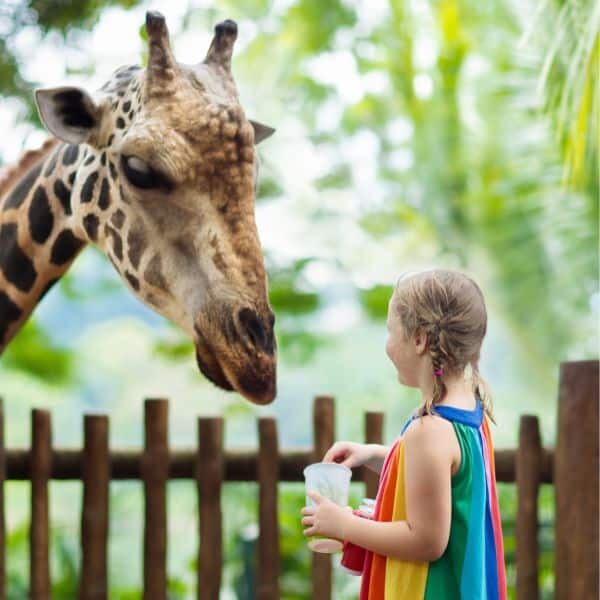 Move Out Cleaning Services St. Louis MO