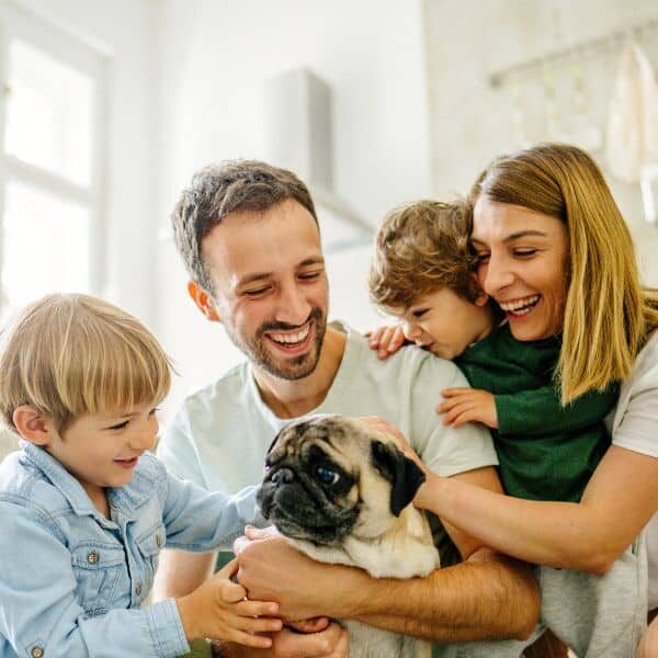 Housekeeping Services St. Louis MO